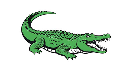 Obraz premium Green cartoon alligator with open mouth and sharp teeth isolated on white background
