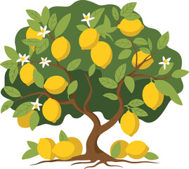 Lemon tree illustration with green leaves, yellow fruits, and white blossoms for botanical, agricultural, and nature-themed design.