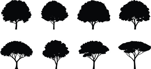 Tree silhouette collection with diverse canopy and trunk shapes for nature-themed design, landscape illustration, and educational use.