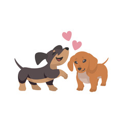 Couple Dachshund Happy  in love together