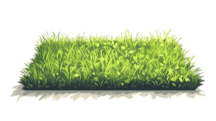 Lush green blades of grass form a dense horizontal patch illustration with subtle shadow detail