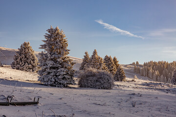 Première neige de la saison 2025-2026 au Semnoz, Haute-Savoie, France, Europe.