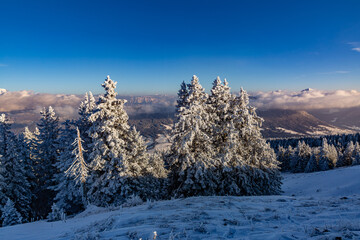 Première neige de la saison 2025-2026 au Semnoz, Haute-Savoie, France, Europe.