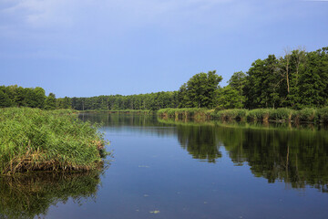 Obraz premium View of the Peene River in the Peene Valley River Landscape Nature Park, a nature reserve in the Mecklenburg Lake District, Germany