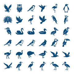 Set of various bird, poultry, and waterfowl vector flat icons collection. Different species of birds, including eagle, owl, flamingo, peacock, and duck for nature and wildlife themes.