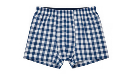 Blue and white gingham patterned boxer shorts, male underwear