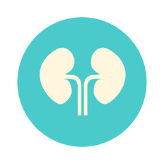 Flat kidney circle icon