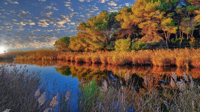 Altafulla (Tamarit) - desembocadura riu Gai&agrave; - Tarragon&egrave;s