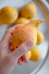 Ripe pear held in a hand – fresh organic fruit concept