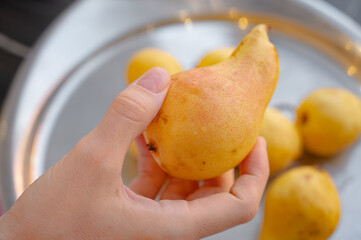 Ripe pear held in a hand – fresh organic fruit concept