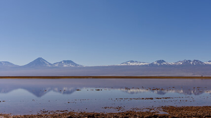 Tebinquiche Lagoon in the Atacama Desert, Chile
