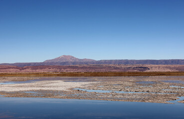 Tebinquiche Lagoon in the Atacama Desert, Chile