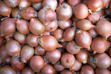 A top shot of a pile of onions sold in a Turkish market.