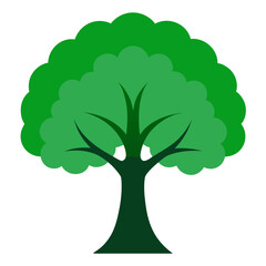 Stylized green tree with lush foliage and dark trunk