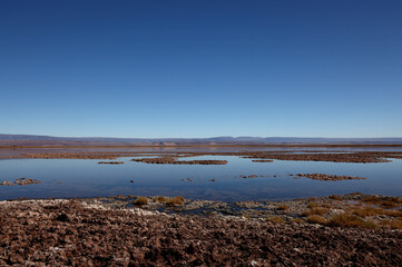 Tebinquiche Lagoon in the Atacama Desert, Chile