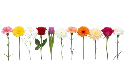 Vibrant assorted flowers create a sense of joy and celebration, perfect for cheerful greetings or adding a touch of natural beauty to any project