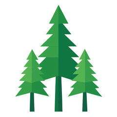 Fototapeta premium Three green pine trees in a row