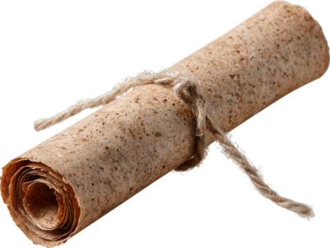 Rolled parchment tied with string isolated on white background.