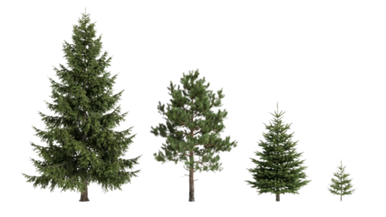 Evergreen trees of various sizes ready for winter scenes, from towering pines to tiny saplings, add natural charm to your design projects