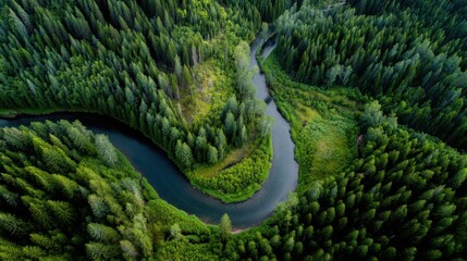 A beautiful view of a river meandering through dense greenery showcasing tall trees and rich foliage under bright summer sunlight. Nature thrives in this serene landscape.