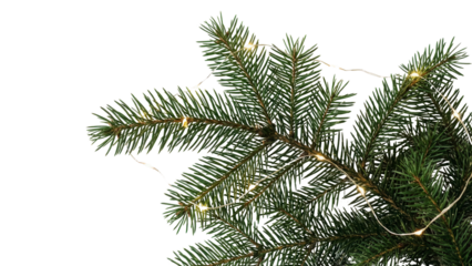 Festive pine branch with twinkling lights conveys holiday magic, perfect for Christmas promotions or winter season greetings with a touch of natural elegance