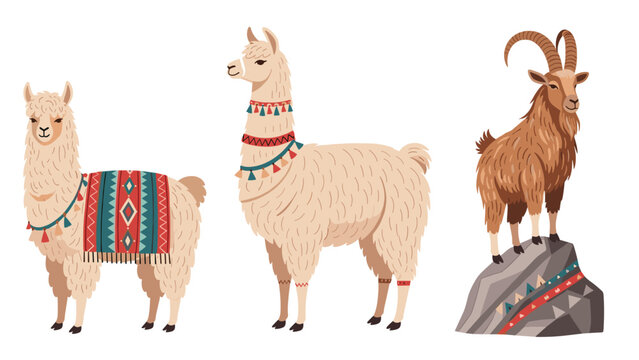 Collection of three cute camelid and caprid animals: two llamas with decorative blankets and a mountain goat on a rock.