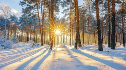 Enchanting winter scene of a snowy pine forest with morning fog and sunlight streaming through trees