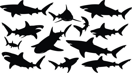 Shark silhouettes in various species — black vector set of marine predators with distinct shapes on white background for illustration use
