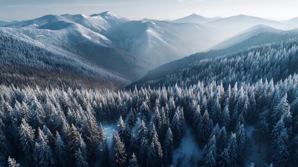 Aerial view of a snow-covered coniferous forest with mountain ranges in the background. Sunlight filters through clouds, casting shadows on the landscape