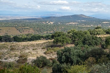 Fototapeta premium Wide panoramic view of the Dehesa landscape featuring wind turbines near Cáceres, Spain.