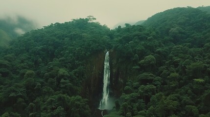 Stunning aerial view of a waterfall enveloped by vibrant greenery a nature travel destination