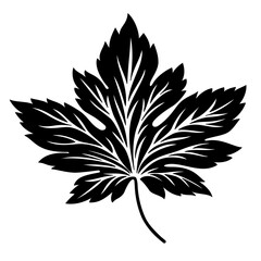 maple leaf silhouette