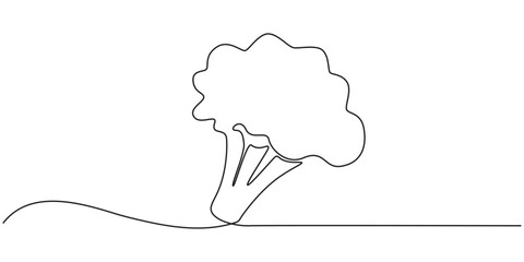 Vector illustration of broccoli with one line, Continuous single drawn one line broccoli vegetables hand-drawn picture silhouette. Line art. Doodle, one continuous single line of green broccoli