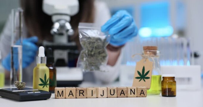 Woman researcher studies sample of Marijuana under microscope. Lab technician holds sealed transparent bag containing cannabis near Marijuana word