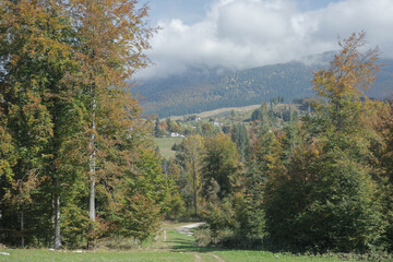 peacefull place among the Cansiglio broadleaf woods in autumn