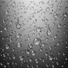 drops of water on the window