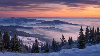 Fototapeta premium In the early morning, towering mountains covered in snow rise above a sea of clouds, creating a majestic scene. The peaceful forest stands strong against the colorful dawn sky.