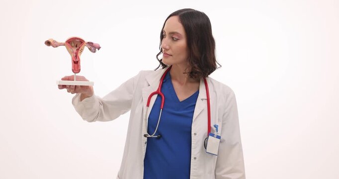 Gynecology doctor holds uterus model in hand and pill blister in other. Specialist presents contraception option explaining reproductive concept