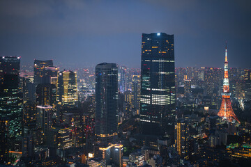 Tokyo city at night, its illuminated skyscrapers and iconic tower highlight urban life