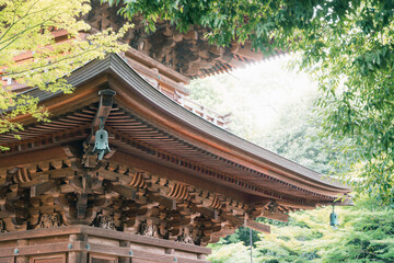 Historic Japanese temple roof in Tokyo, showcasing intricate wooden architecture