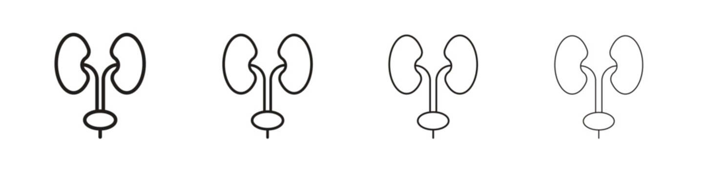 Urology icons collection web design, minimal line style
