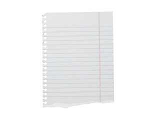 Blank lined paper sheet with torn edges isolated on a white background.