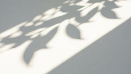 Abstract shadow of a plant leaf cast diagonally across a bright white wall or surface, creating a minimalist and serene natural light effect with soft edges and high contrast