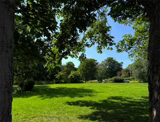 Lush Green Grass Stretches Across