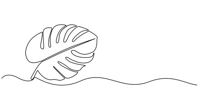 Animated self drawing of Monstera leaf continuous one line drawing and leaf icon isolated flat vector illustration, One continuous line drawing monstera leaf vector illustration.