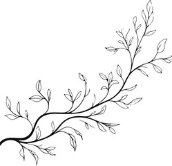 Obraz premium Flowing leaf branches in black line art moving diagonally across the background, airy minimal botanical design, white background 1