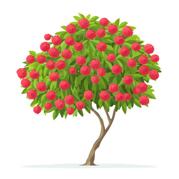 Lychee Tree in a clean 2D flat vector icon style, minimal and simple, set on a plain white background.