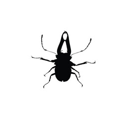 Black silhouette of a stag beetle with prominent mandibles on a white background.