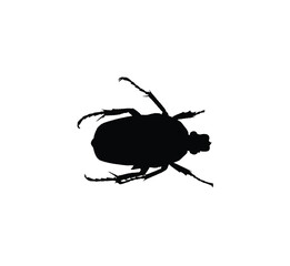 Black silhouette of a beetle insect with legs and antennae, isolated on a white background.