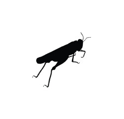 Black silhouette of a grasshopper insect in profile, isolated on a plain white background.